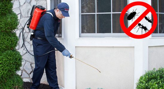 Akkışla Kemirgen İlaçlama böcek ilaçlama ve haşere kontrolü — ilaclama-tr.com